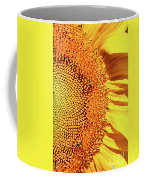 Right Side Coffee Mug featuring the photograph Sunflower Right by Carol Groenen