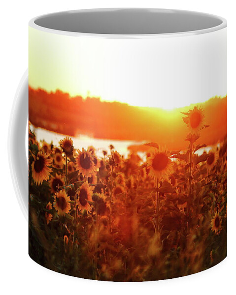 Summer Coffee Mug featuring the photograph Sunflower Sunset by Lens Art Photography By Larry Trager