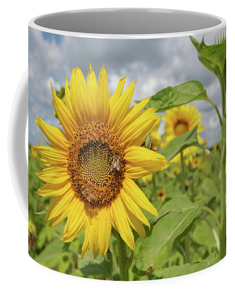 Sunflower Coffee Mug featuring the photograph Sunflower with Honeybee by Carolyn Hutchins
