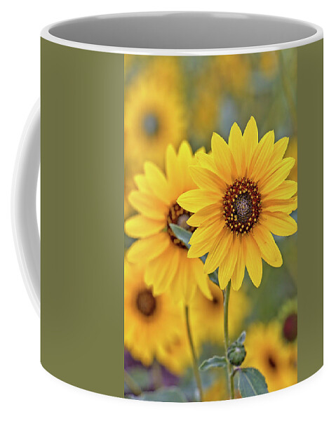 Sunflowers Coffee Mug featuring the photograph Sunflowers by Bob Falcone