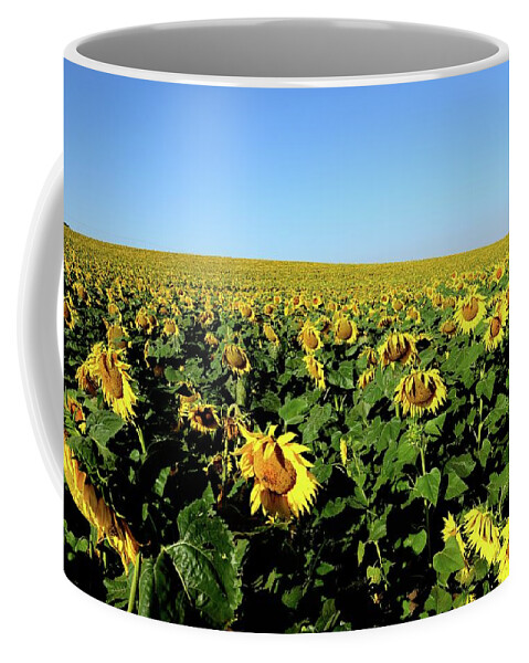 Sunflowers Coffee Mug featuring the photograph Sunflowers - North Dakota by Kirk Stanley