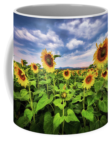 Sunflowers Coffee Mug featuring the photograph Sunflowers a6445 by Greg Hartford