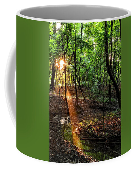 Forest Coffee Mug featuring the photograph Sunlight in the Forest by Brad Nellis