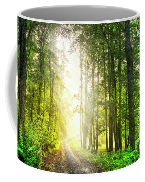 Carolina Coffee Mug featuring the photograph Sunlight through the Fog by Debra and Dave Vanderlaan