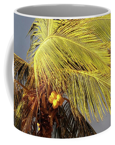Zihuatanejo Coffee Mug featuring the photograph Sunlit Coconuts by Rosanne Licciardi
