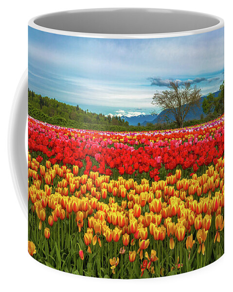 Alex Lyubar Coffee Mug featuring the photograph Sunny colorful tulip fields by Alex Lyubar