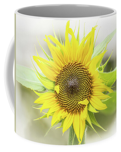 Sunflower Coffee Mug featuring the photograph Sunny Flower by Pam DeCamp