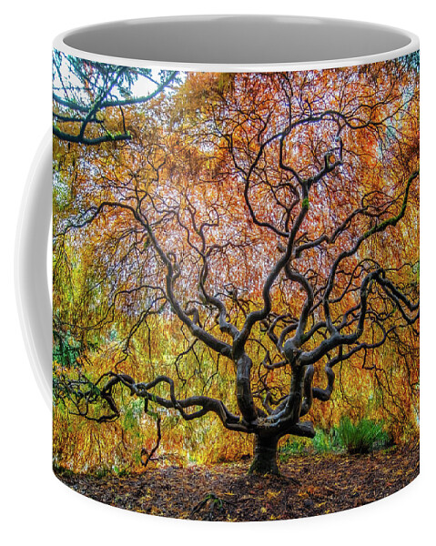 Maple Coffee Mug featuring the photograph Sunny Japanese Maple by Jerry Cahill