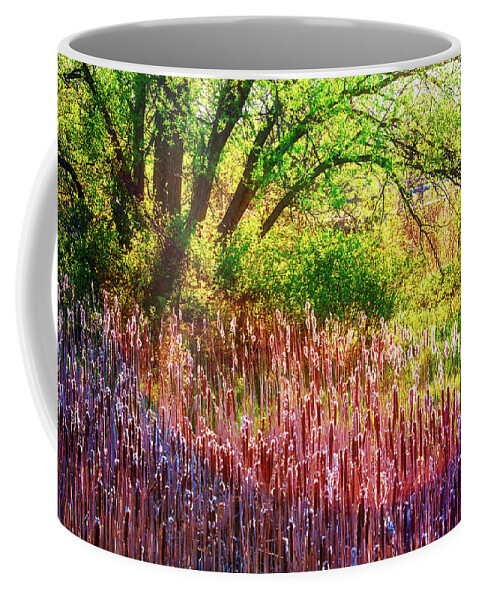 Park Coffee Mug featuring the photograph Sunny morning in the park by Tatiana Travelways