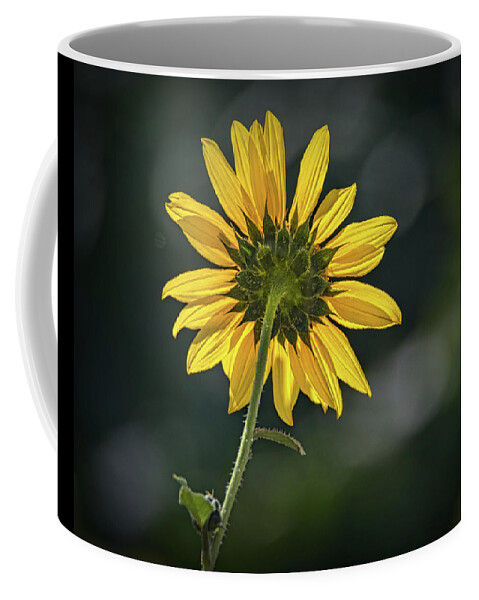 Bloom Coffee Mug featuring the photograph Sunny Sunflower Following the Sun by Debra Martz