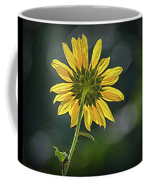 Bloom Coffee Mug featuring the photograph Sunny Sunflower Following the Sun With Enhancements by Debra Martz