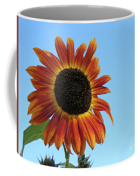 Canada Coffee Mug featuring the photograph Sunny Sunflower by Mary Mikawoz