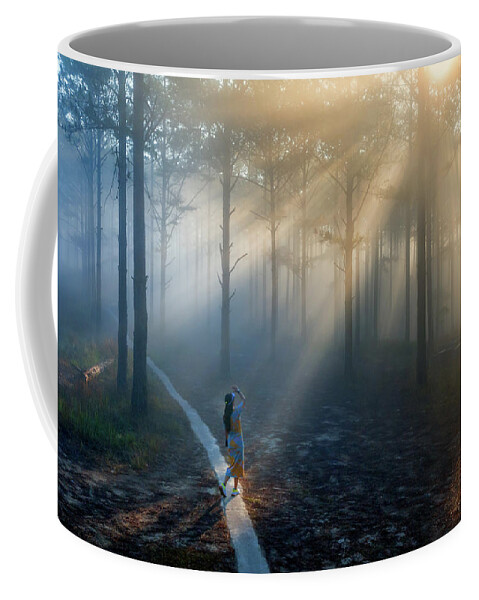 Awesome Coffee Mug featuring the photograph Sunrays in the pine forest by Khanh Bui Phu