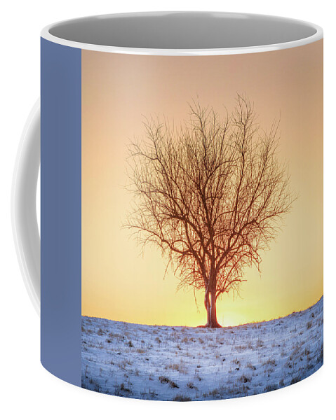 Sunrise Coffee Mug featuring the photograph Sunrise And Snow Tupelo Mississippi by Jordan Hill