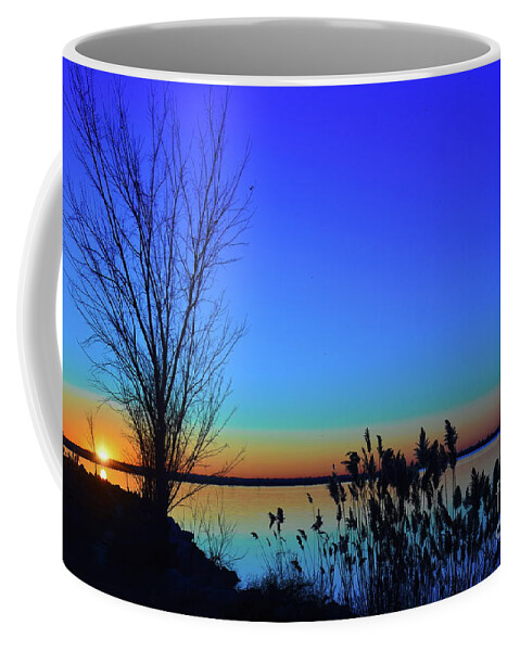 Blue Coffee Mug featuring the photograph Sunrise Silhouette by Diana Mary Sharpton
