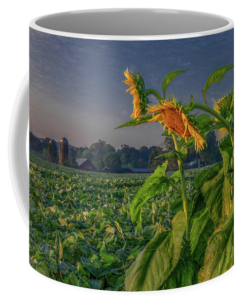 Tennessee Coffee Mug featuring the photograph Sunrise With Sunflowers by Marcy Wielfaert