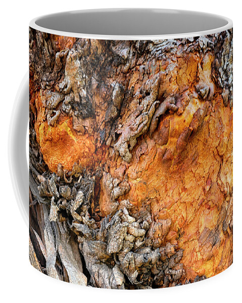 Australia Coffee Mug featuring the photograph Sunset Bark by Jay Heifetz