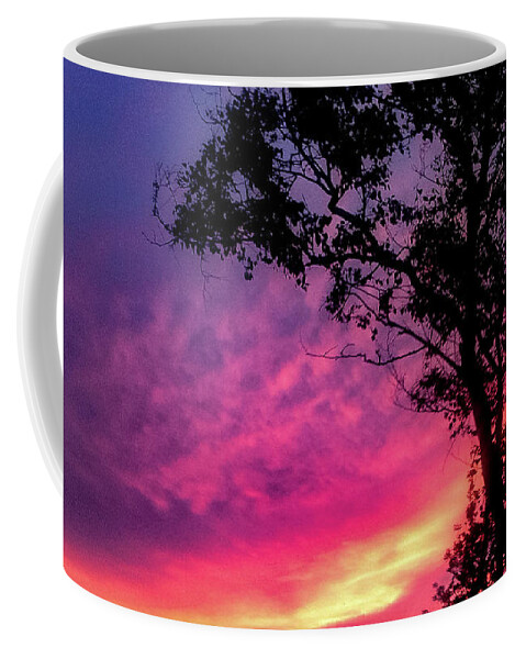 Landscape  Sunset   Coffee Mug featuring the photograph Sunset behind a tree by Kelsea Peet