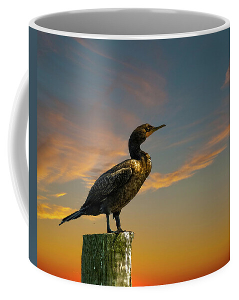 Bird Coffee Mug featuring the photograph Sunset Cormorant by Cathy Kovarik
