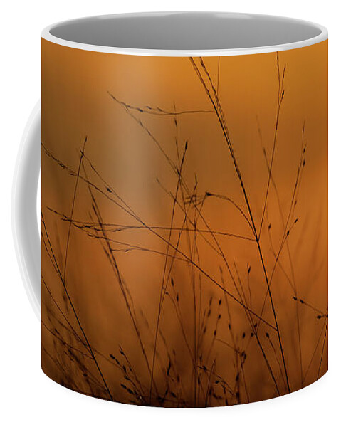 Beautiful Coffee Mug featuring the photograph Sunset In the Weeds by Jason Fink