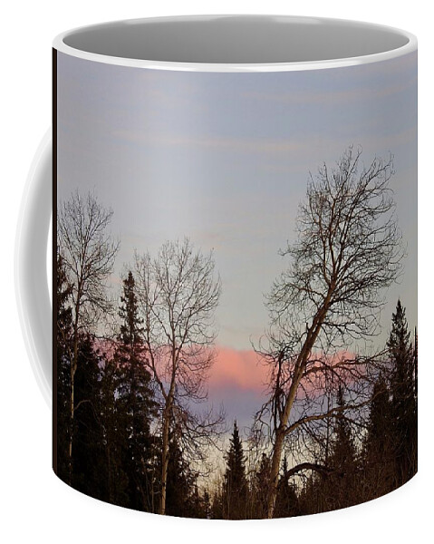 Sunset Coffee Mug featuring the photograph Sunset by Nicola Finch