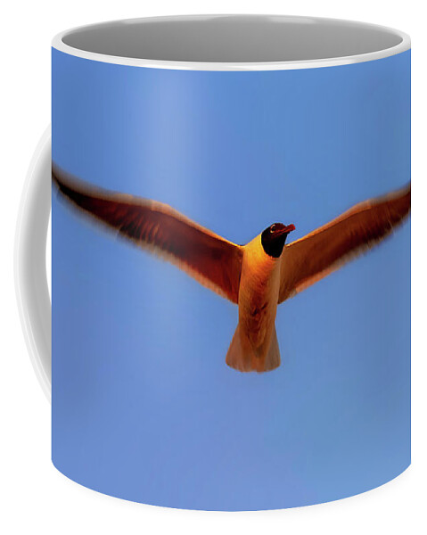 Florida Coffee Mug featuring the photograph Sunset Play by Brian Jay