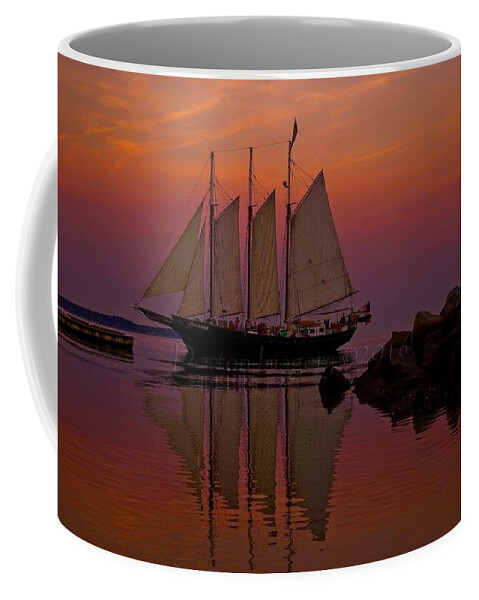  Coffee Mug featuring the photograph Sunset sail by Stephen Dorton
