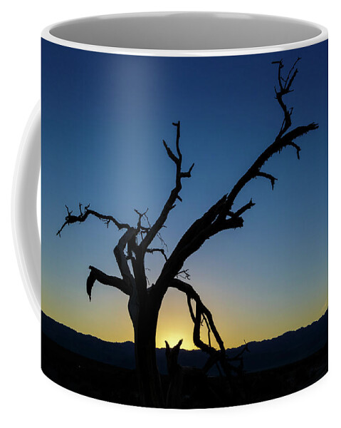 Dead Coffee Mug featuring the photograph Sunset Silhouette by Mike Schaffner
