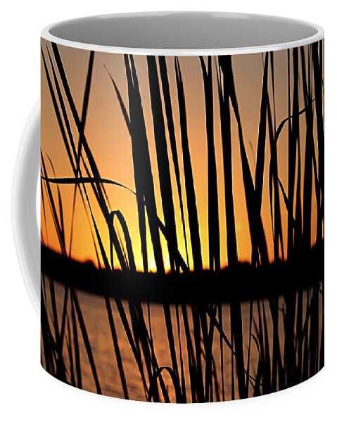 Sunset Coffee Mug featuring the photograph Sunset Through the Reeds by Mary Walchuck