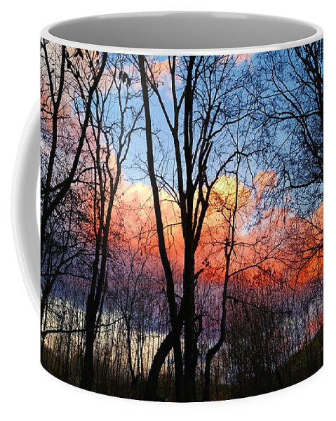 Nature Coffee Mug featuring the photograph Sunset Through the Woods by Ally White