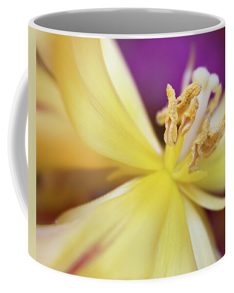 Tulip Coffee Mug featuring the photograph Sunshine Glow by Elvira Peretsman