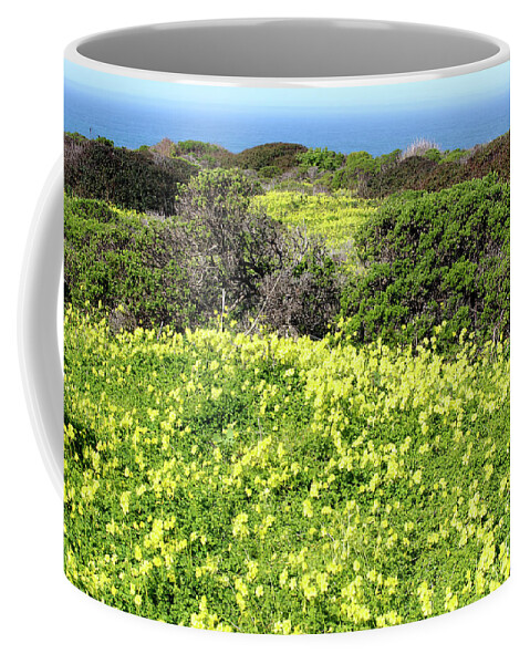 Super Bloom Coffee Mug featuring the photograph Superbloom on the Coastline by Katherine Erickson