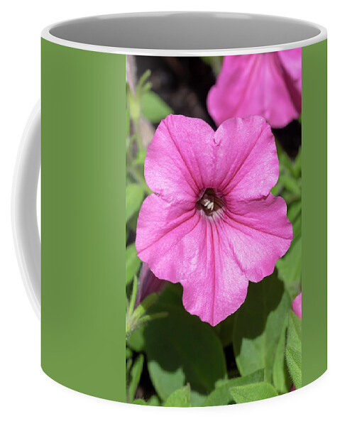 Flower Coffee Mug featuring the photograph Supertunia Vista Bubblegum by Dawn Cavalieri