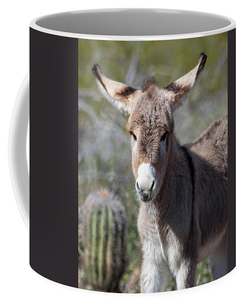 Wild Burros Coffee Mug featuring the photograph Sure I Can Fly by Mary Hone