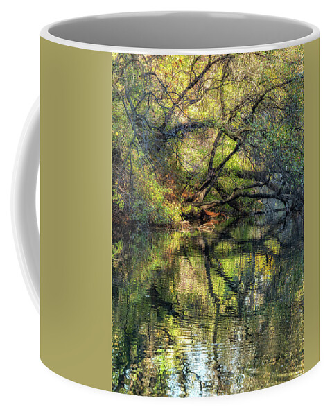 Central Park Coffee Mug featuring the photograph Surreal Autumn Dream by Cate Franklyn