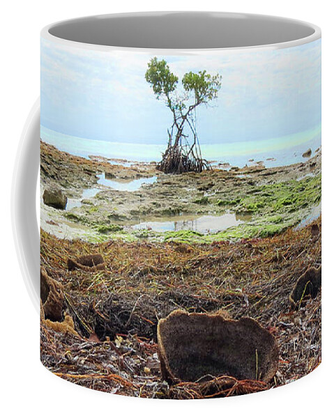 Mangrove Coffee Mug featuring the photograph Surroundings - Florida Mangroves Sponges by Chris Andruskiewicz