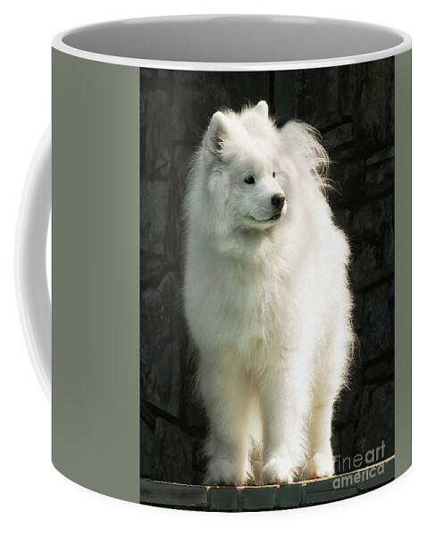 Dog Coffee Mug featuring the photograph Surveying Her Domain by Lois Bryan