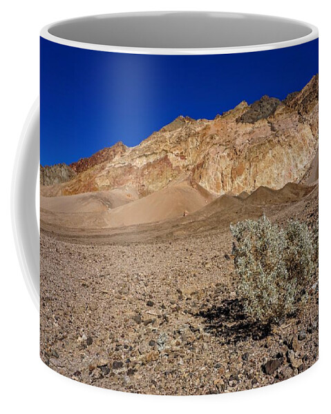 Death Valley Coffee Mug featuring the photograph Death Valley Survivor by Brett Harvey