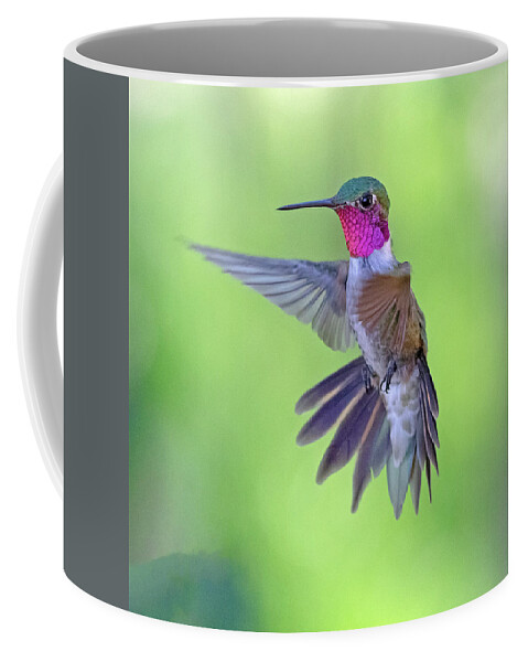 Hummingbird Coffee Mug featuring the photograph Suspended in Motion by Mindy Musick King