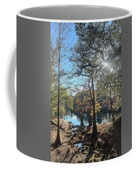 Suwannee River Coffee Mug featuring the photograph Suwannee Winter Afternoon by Paul Rebmann