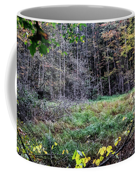 Usa Coffee Mug featuring the photograph Swamp clearing in the fall by Nathan Wasylewski