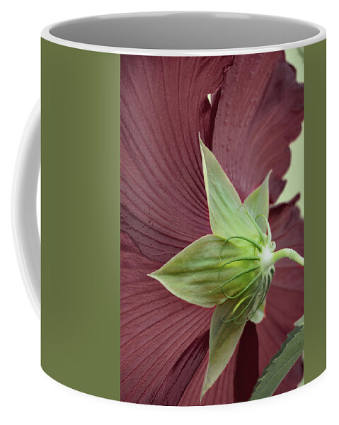 Hibiscus Coffee Mug featuring the photograph Swamp Hibiscus by M Kathleen Warren