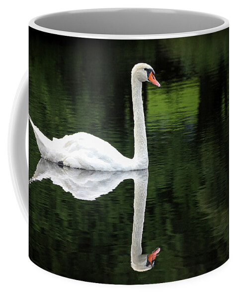 Petoskey Coffee Mug featuring the photograph Swan at Spring Lake by Robert Carter