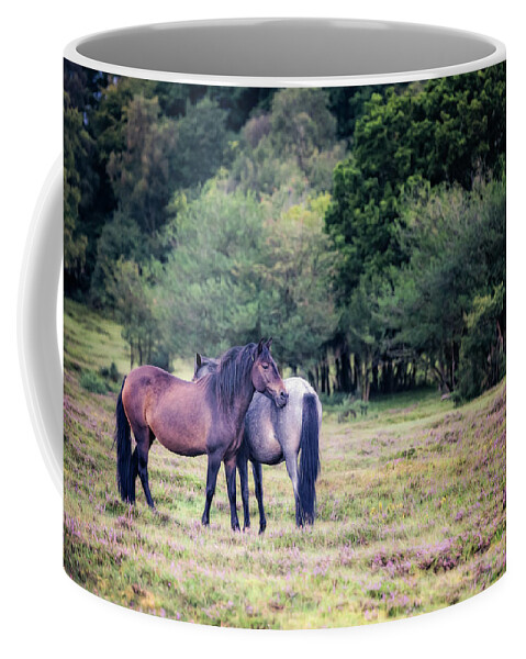 Photographs Coffee Mug featuring the photograph Sweet Friendship - Horse Art by Lisa Saint