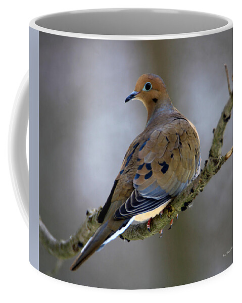 Birds Coffee Mug featuring the photograph Sweet Mourning Dove by Mary Walchuck