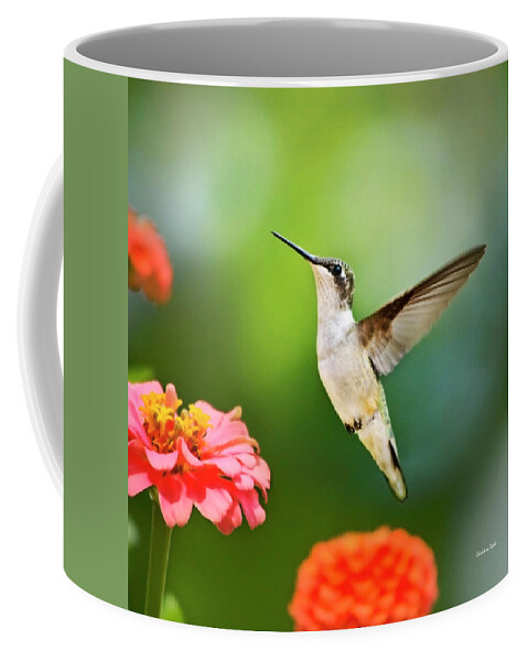Hummingbirds Coffee Mug featuring the photograph Sweet Promise Hummingbird Square by Christina Rollo