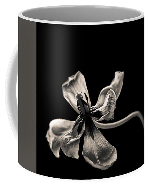 Still Life Coffee Mug featuring the photograph Sweet Release by Maggie Terlecki