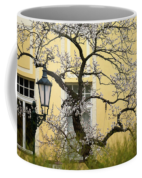 Jenny Rainbow Fine Art Photography Coffee Mug featuring the photograph Sweet Spring in Prague 4 by Jenny Rainbow