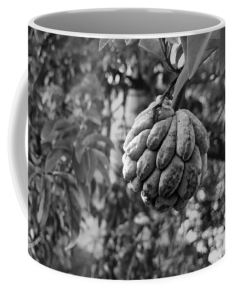 Sweetsop Coffee Mug featuring the photograph Sweetsop 2 by Aldane Wynter