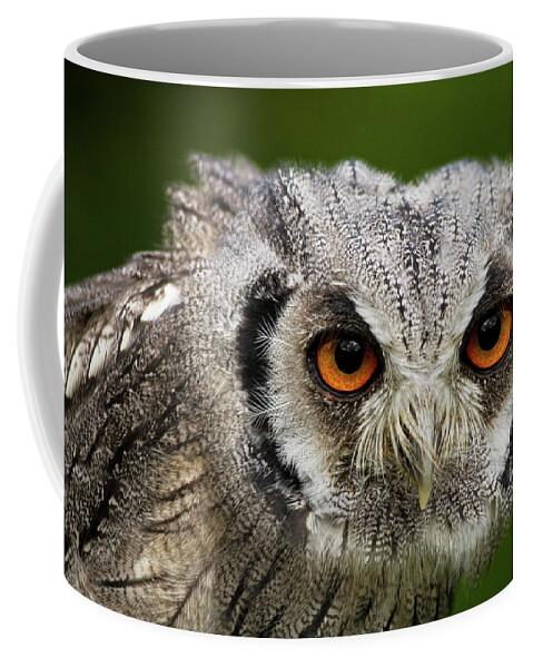 Animal Coffee Mug featuring the photograph Swf-5484 by Miles Herbert